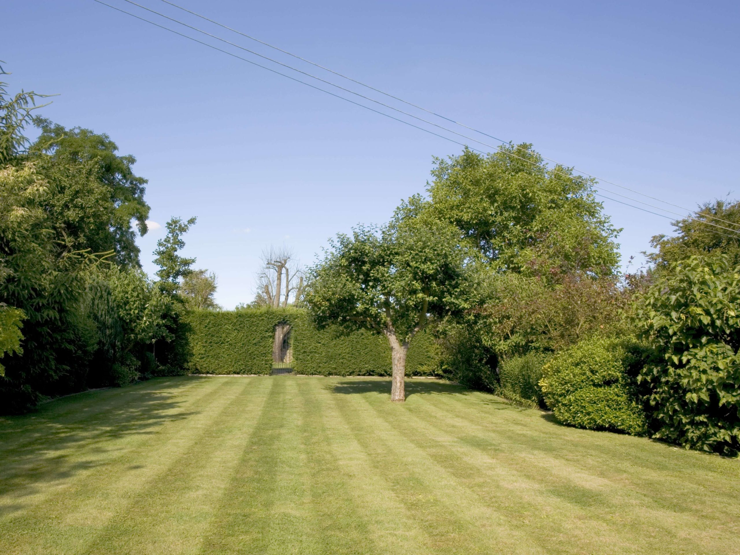 Lawn Mowing/Hedge Trimming Bexley DA5