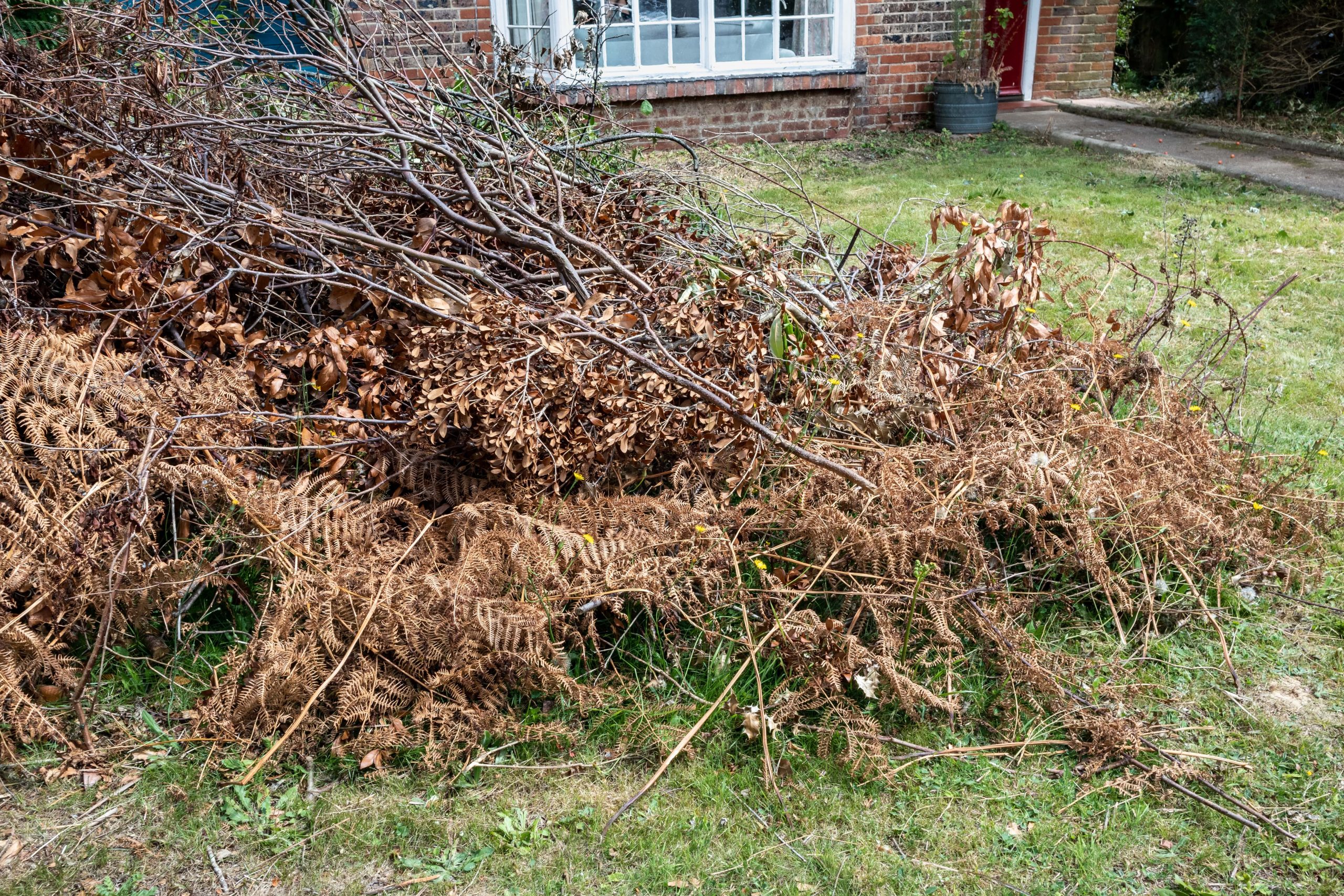 Garden Clearance Bexley DA5