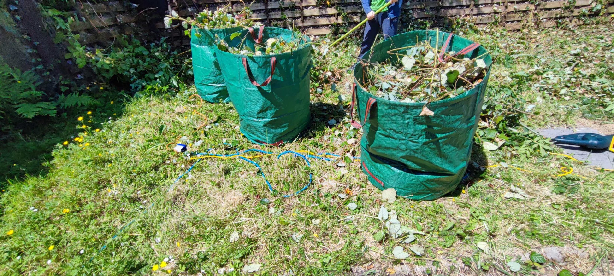 Green Waste Removals Bexley DA5