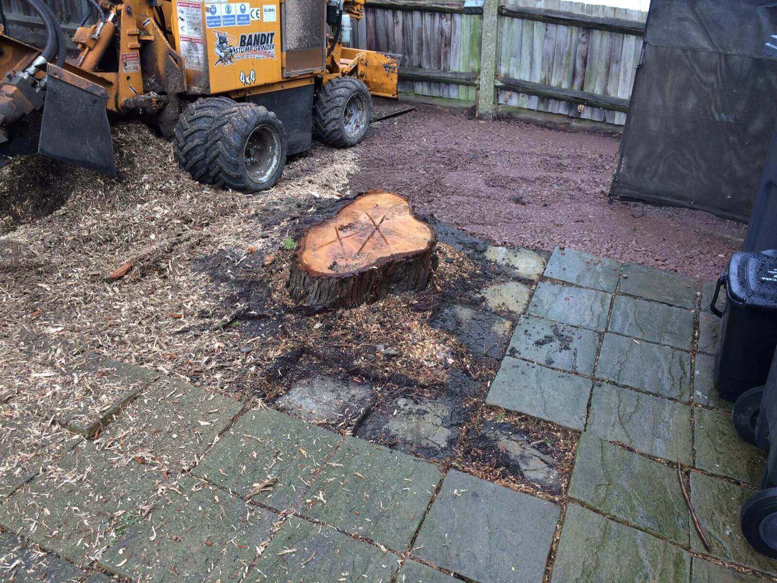 Tree Surgeons Bexley DA5