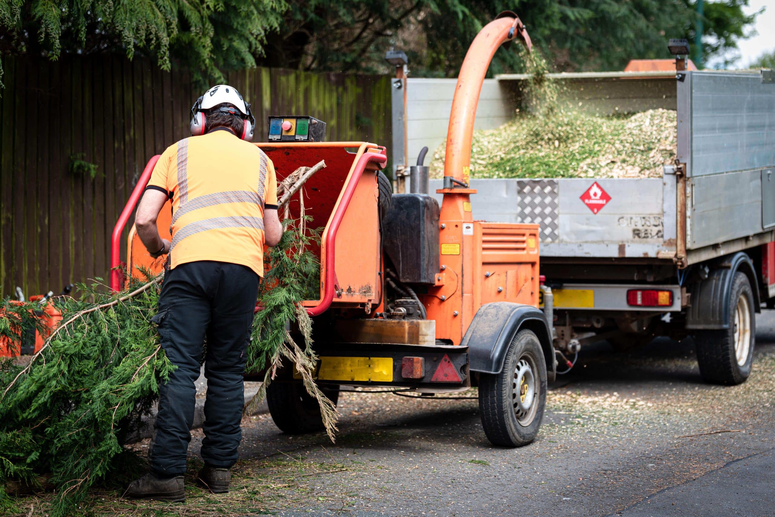 Tree Stump Grinding/Removal Bexley DA5